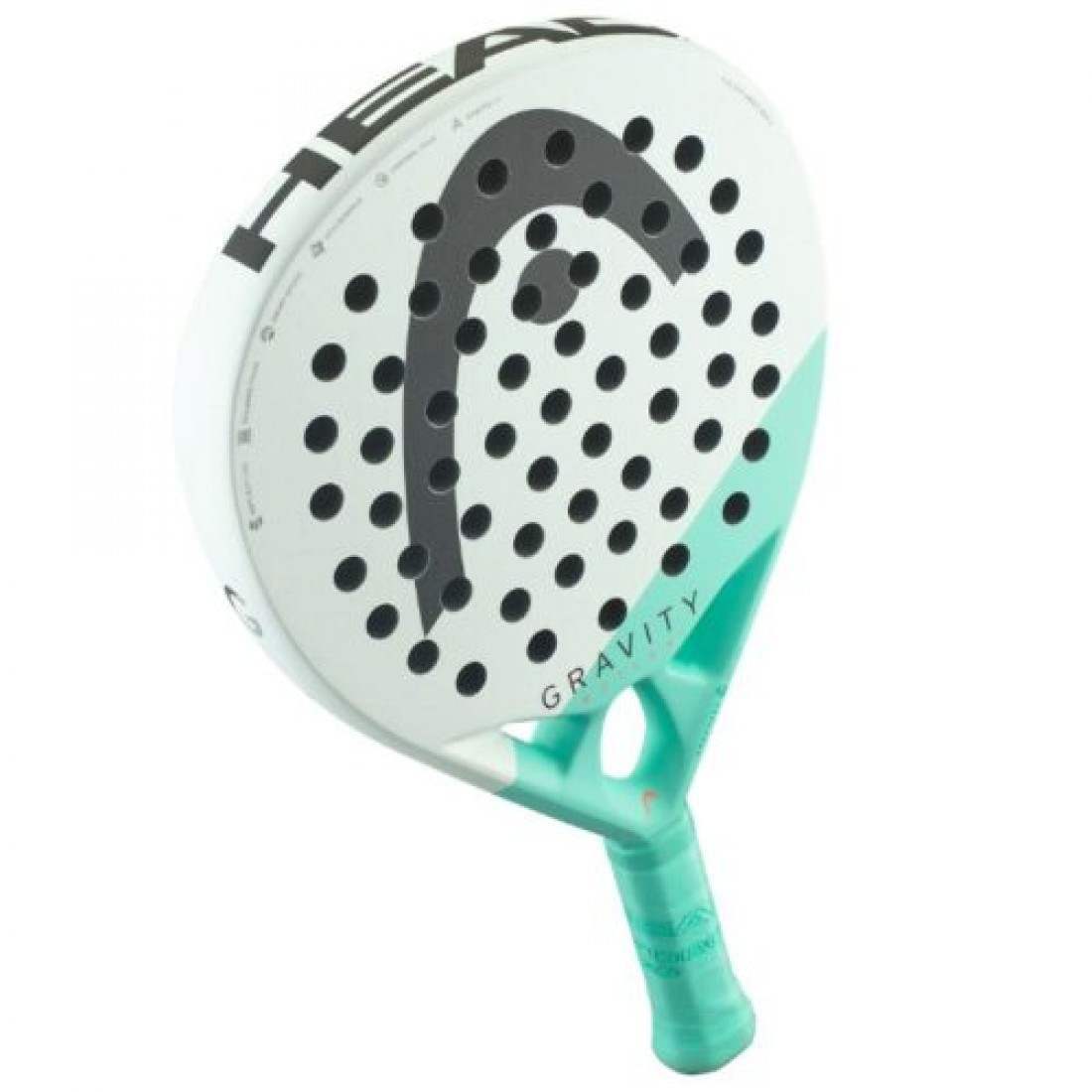 Head Gravity Motion 2024