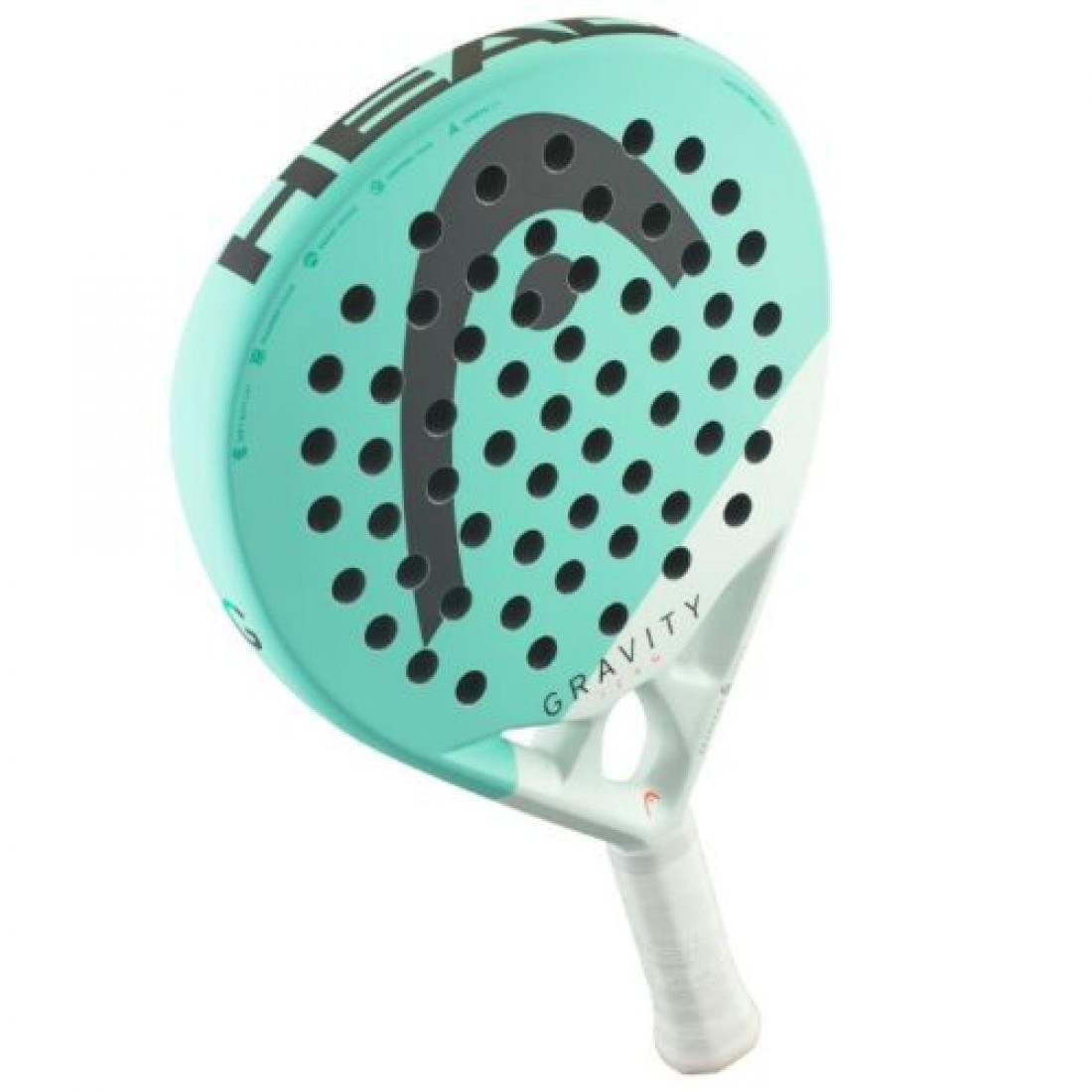 Head Gravity Team 2024