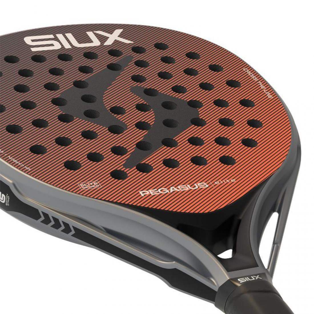 Siux Pegasus Elite 4 2026