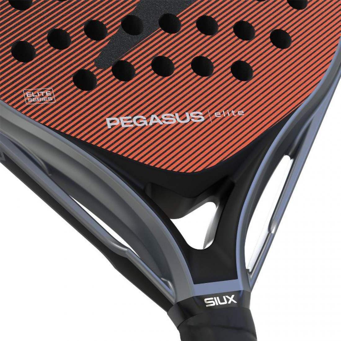 Siux Pegasus Elite 4 2026